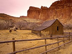 Old Gifford Homestead, Capitol Reef National Park, Utah